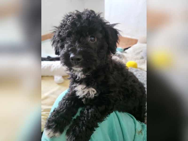 Süße Amara wartet auf dich