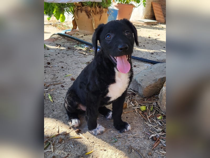 Bohdi wartet auf seine Familie