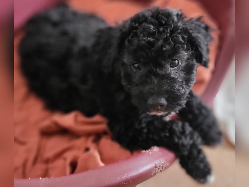 Süße Amara wartet auf dich