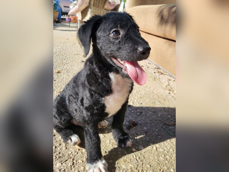 Bohdi wartet auf seine Familie