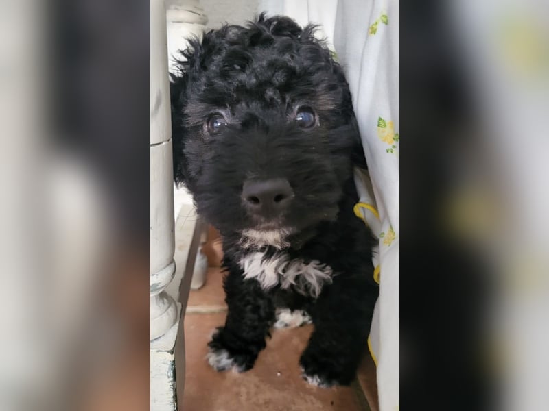 Süße Amara wartet auf dich