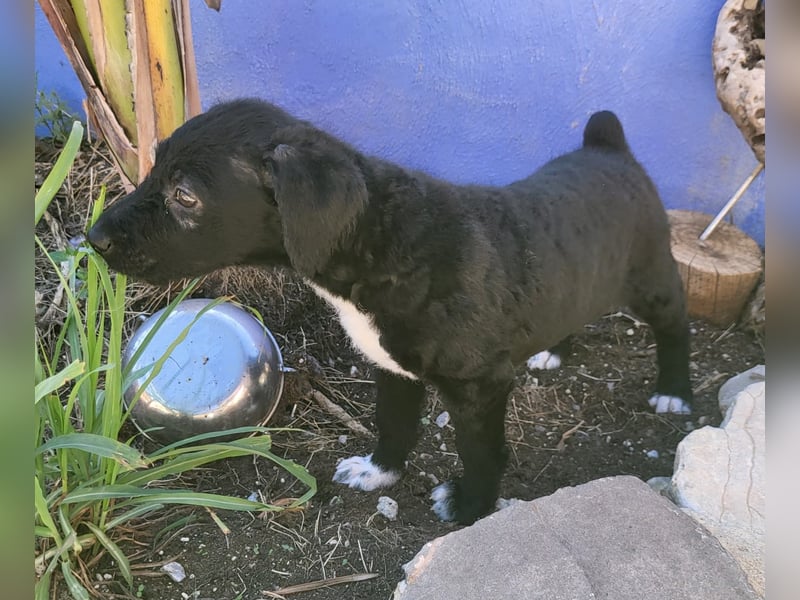 Bohdi wartet auf seine Familie