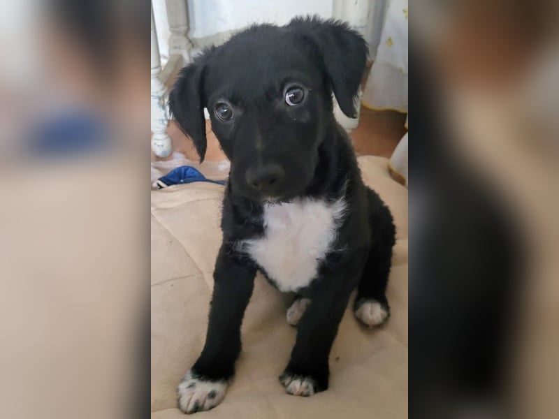 Bohdi wartet auf seine Familie