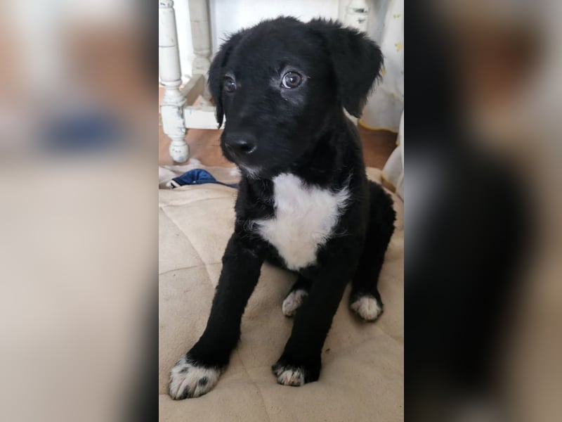 Bohdi wartet auf seine Familie