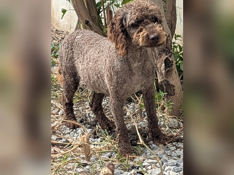 Traumtyp KEANU sucht seine Menschen