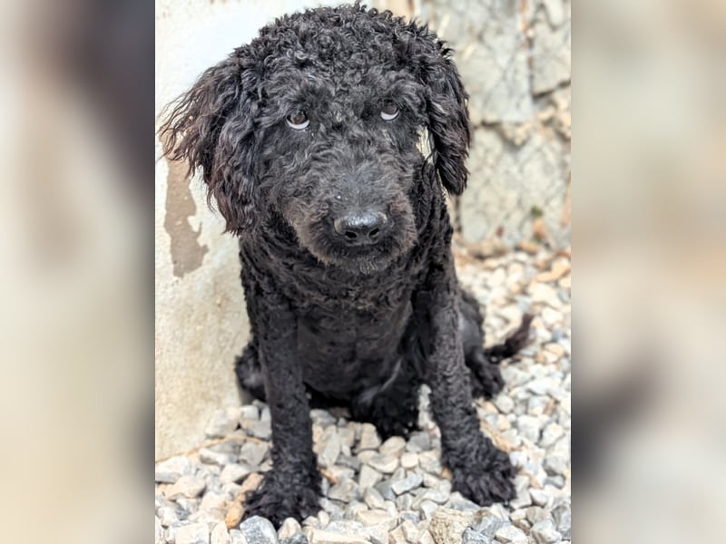 KANO möchte ankommen