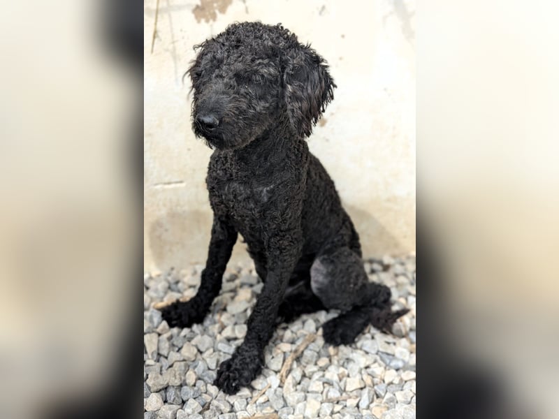 KANO möchte ankommen