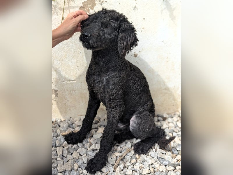 KANO möchte ankommen