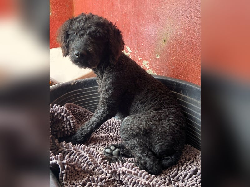 KANO möchte ankommen