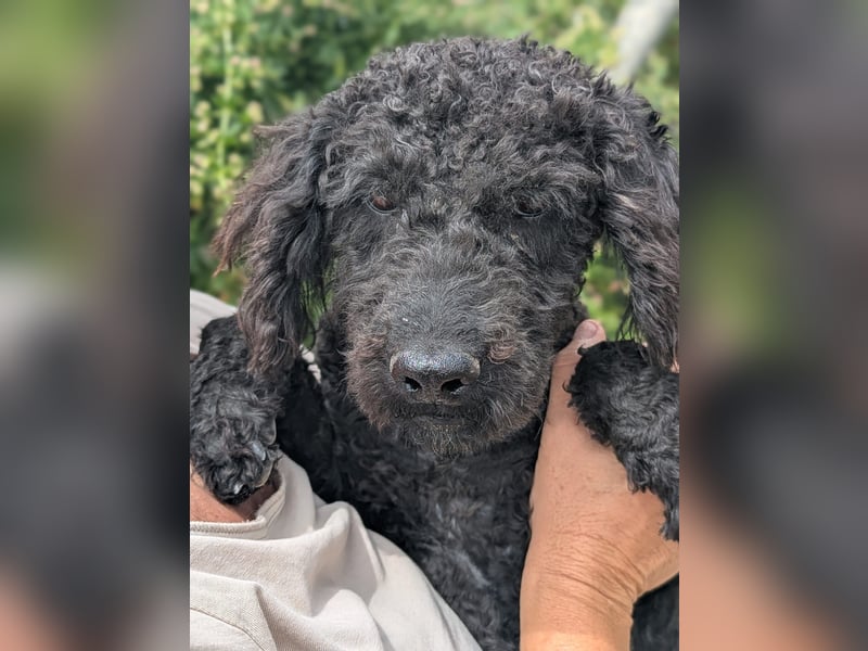 KANO möchte ankommen