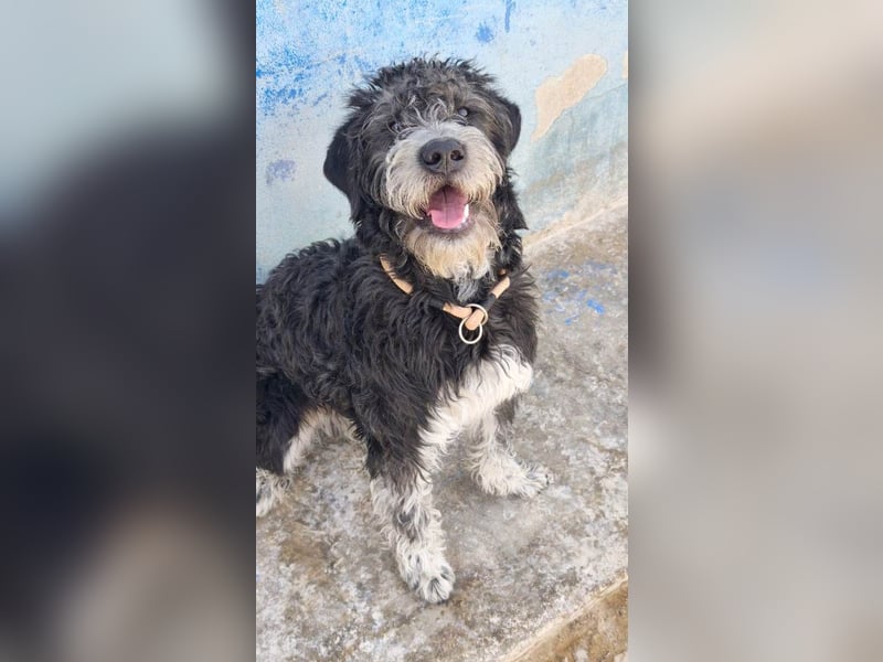 ❤️ TIMOTEO❤️