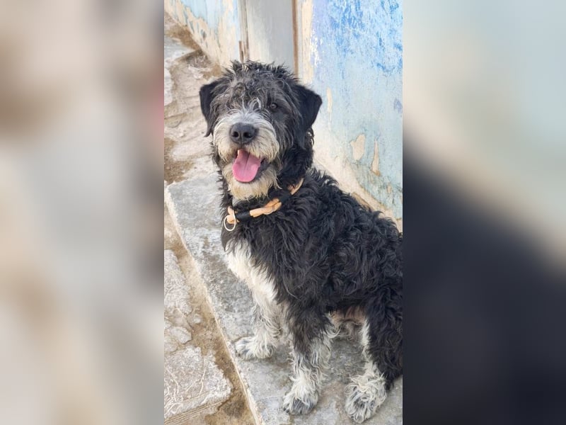 ❤️ TIMOTEO❤️