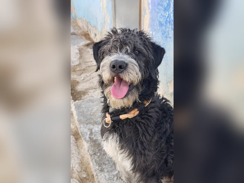 ❤️ TIMOTEO❤️