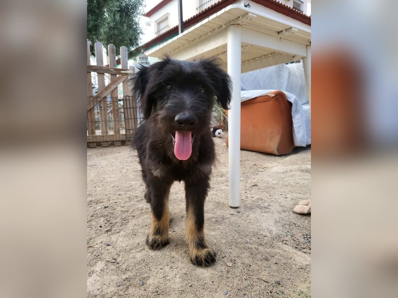 Jax wartet auf seine Familie