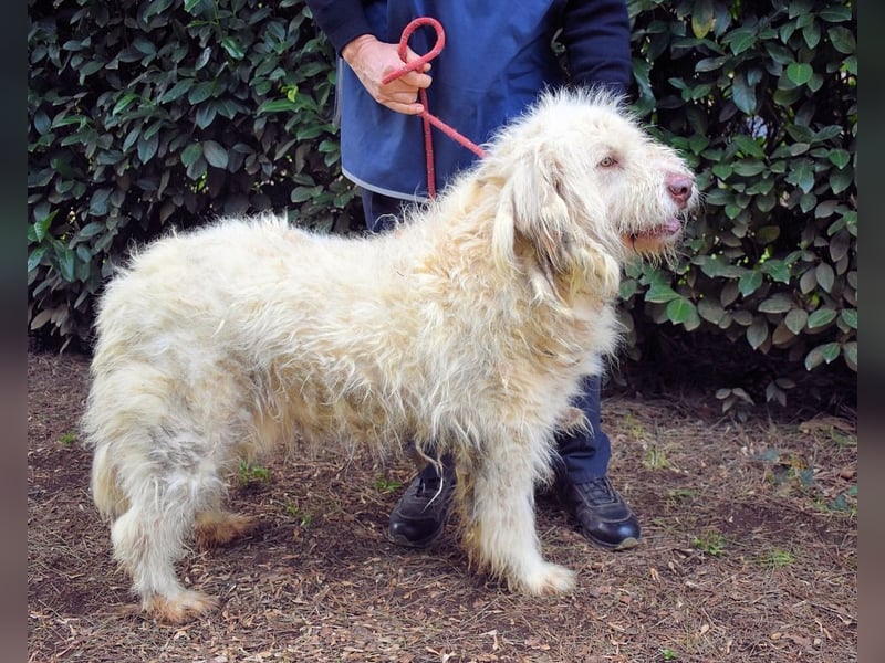 Menodoro - Einfach groß(artig)!