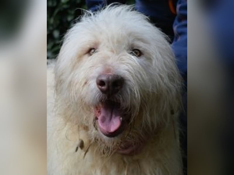 Menodoro - Einfach groß(artig)!