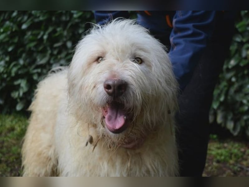 Menodoro - Einfach groß(artig)!