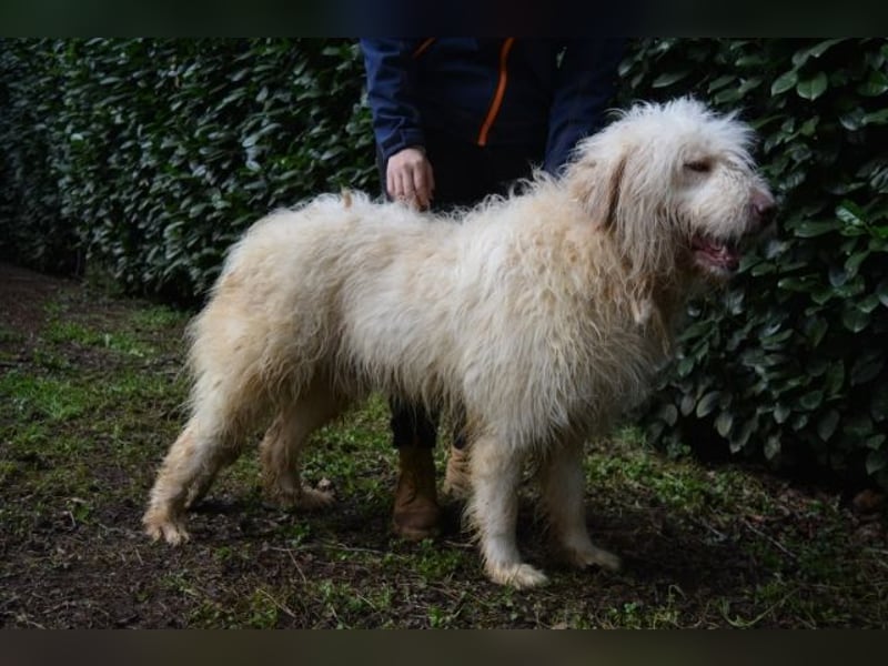 Menodoro - Einfach groß(artig)!