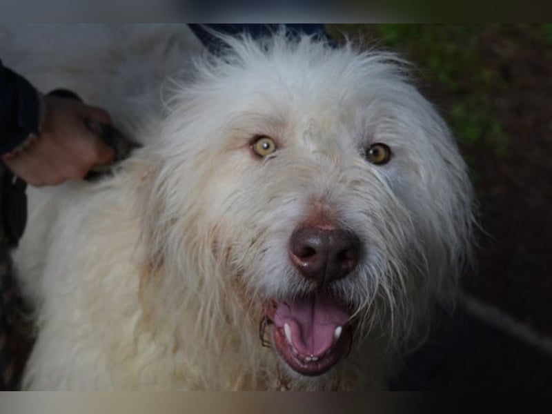 Menodoro - Einfach groß(artig)!