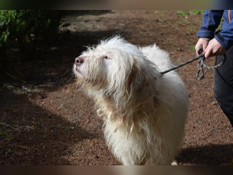 Menodoro - Einfach groß(artig)!