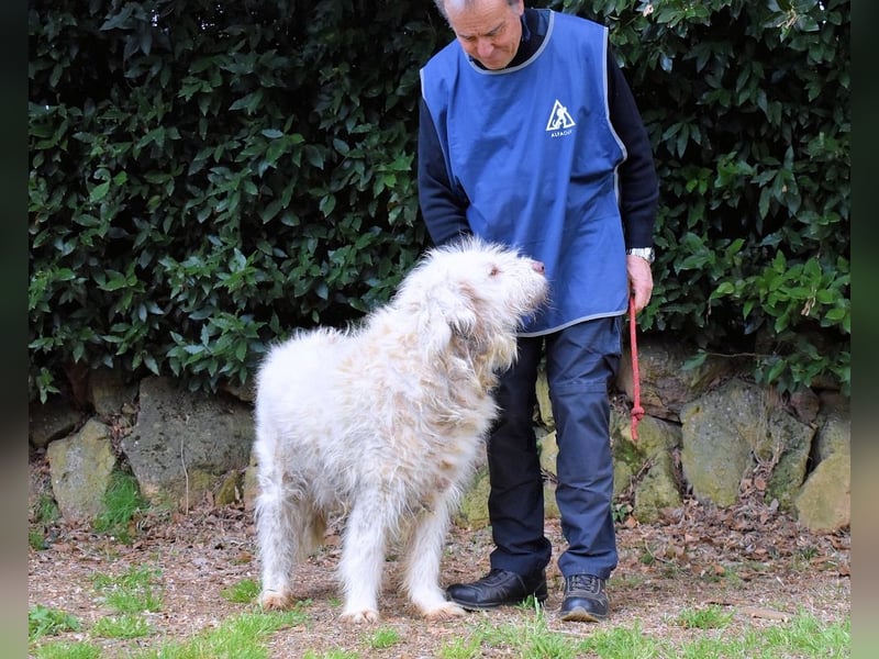 Menodoro - Einfach groß(artig)!