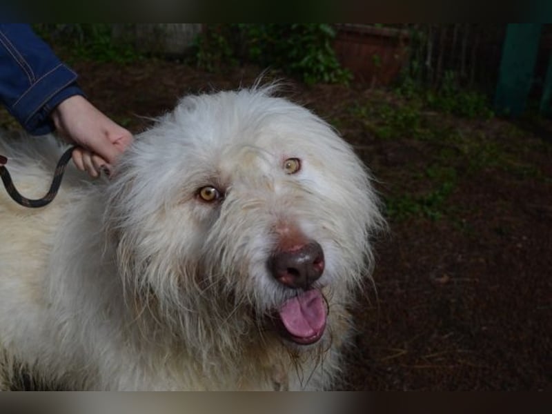 Menodoro - Einfach groß(artig)!