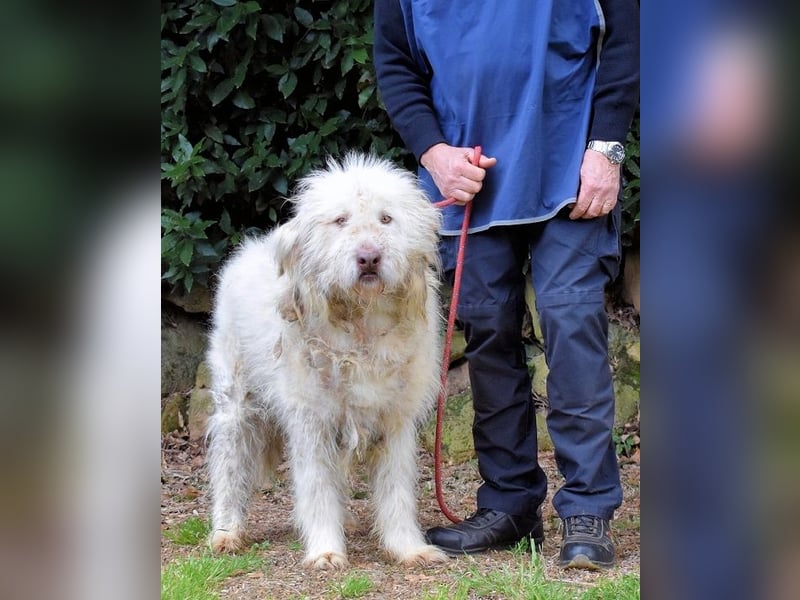 Menodoro - Einfach groß(artig)!