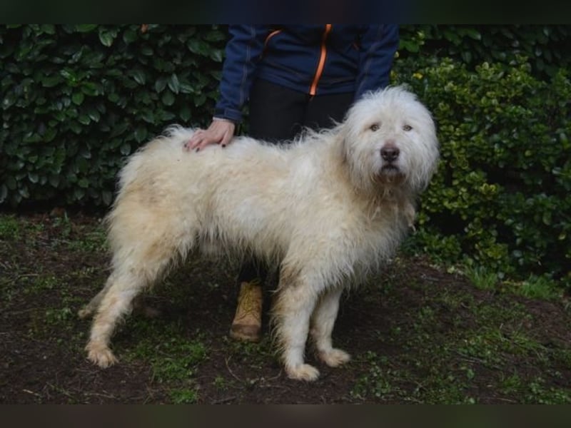 Menodoro - Einfach groß(artig)!