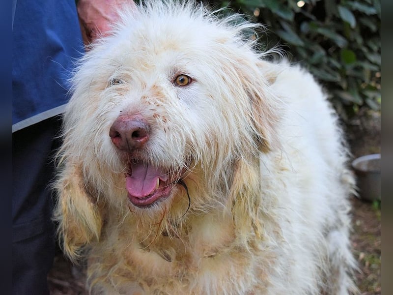 Menodoro - Einfach groß(artig)!