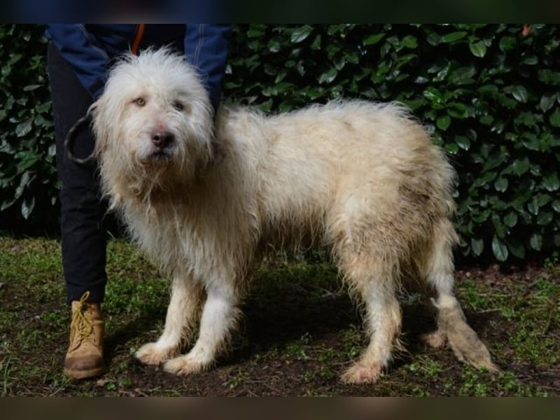 Menodoro - Einfach groß(artig)!