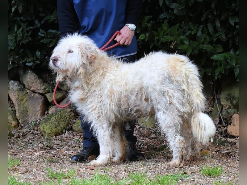 Menodoro - Einfach groß(artig)!