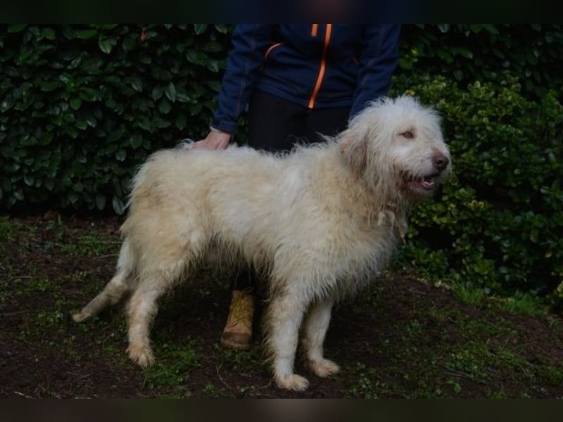 Menodoro - Einfach groß(artig)!