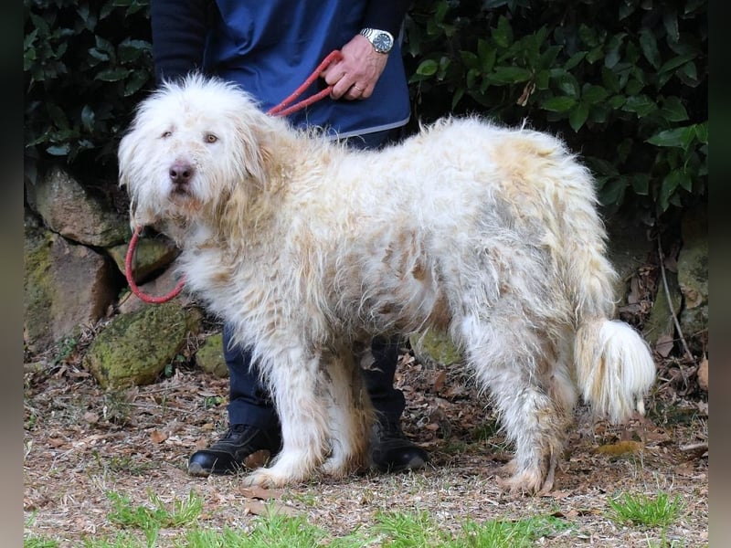 Menodoro - Einfach groß(artig)!