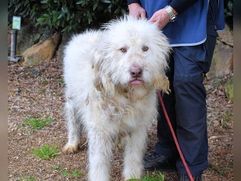 Menodoro - Einfach groß(artig)!