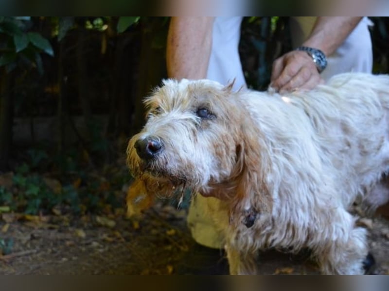 Faryd - hätte er nicht endlich irgendwo ankommen dürfen?