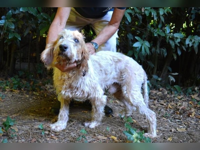 Faryd - hätte er nicht endlich irgendwo ankommen dürfen?