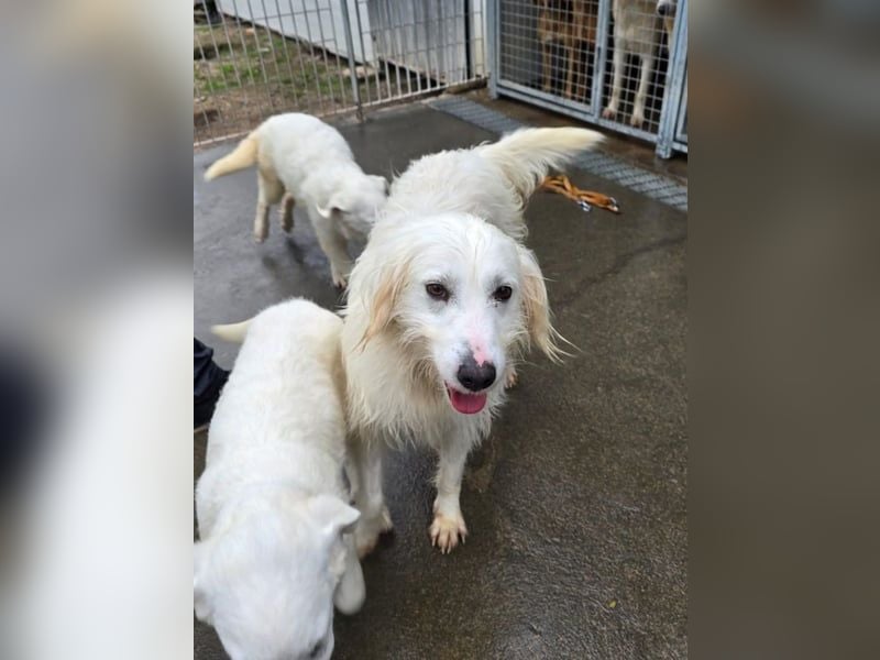 Unsere Schneeflocke möchte bei dir landen