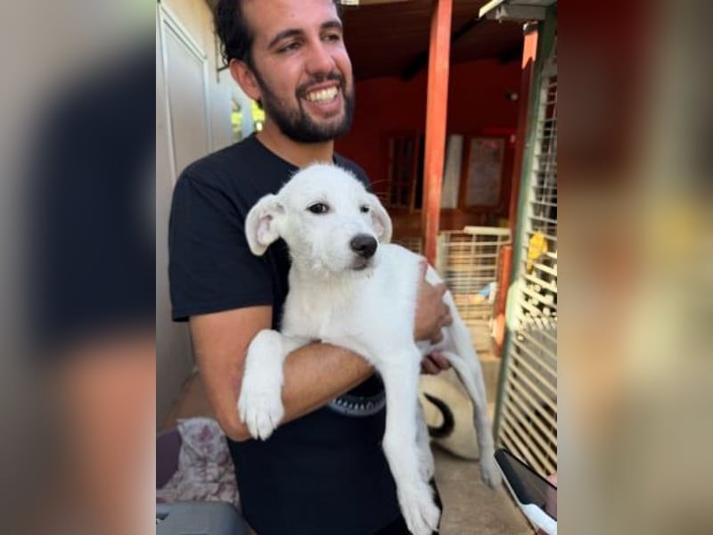 Clara - aus dem Pappkarton direkt in dein Herz