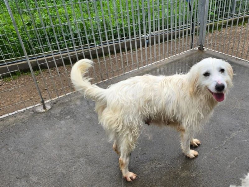 Unsere Schneeflocke möchte bei dir landen