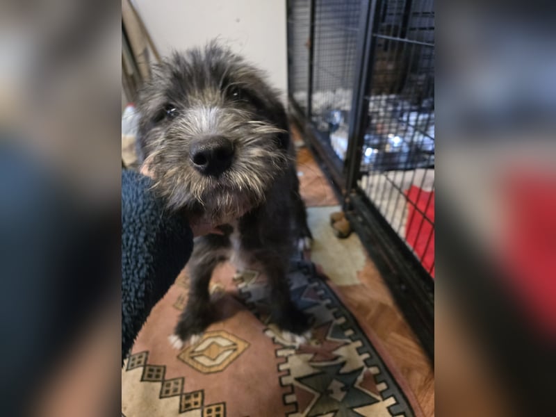 Astra: bereit für ihre eigene Familie