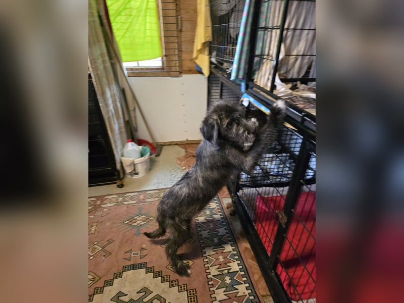 Astra: bereit für ihre eigene Familie