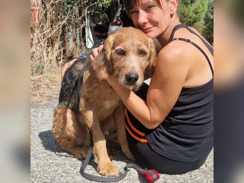 Rocky - endlich von der Kette befreit, möchte er jetzt bitte Familienhund werden