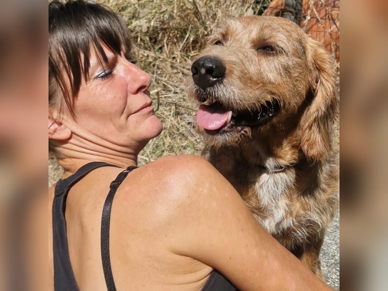 Rocky - endlich von der Kette befreit, möchte er jetzt bitte Familienhund werden