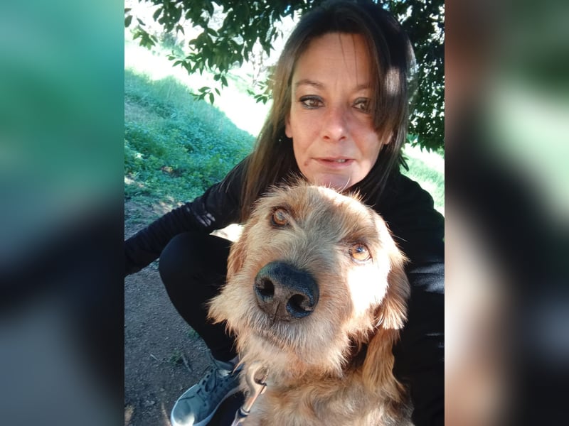 Rocky - endlich von der Kette befreit, möchte er jetzt bitte Familienhund werden