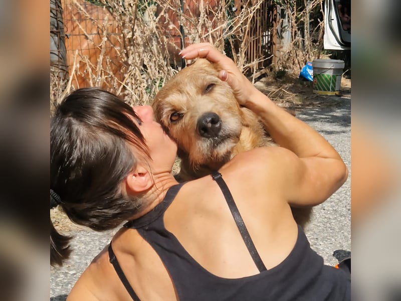 Rocky - endlich von der Kette befreit, möchte er jetzt bitte Familienhund werden