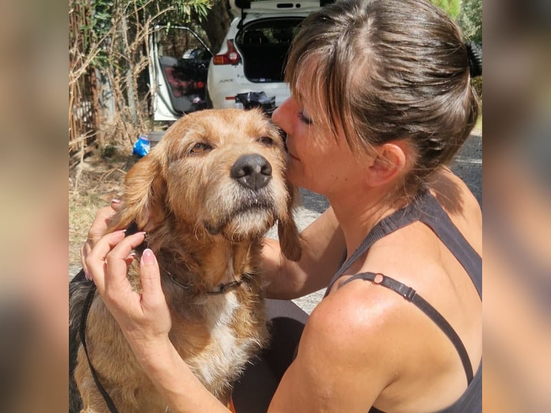 Rocky - endlich von der Kette befreit, möchte er jetzt bitte Familienhund werden