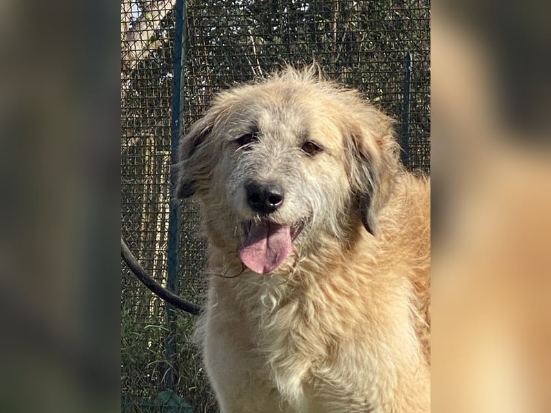 Eva - Voller Tatendrang in eine gute Zukunft