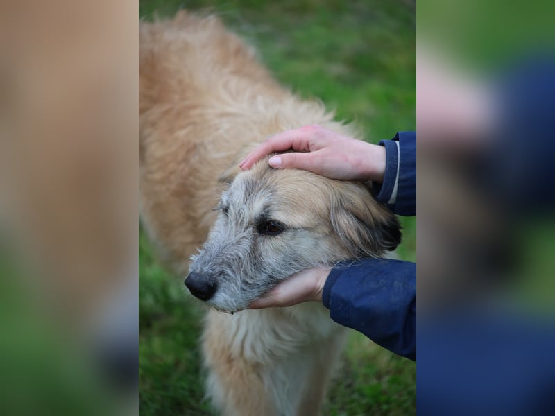 Eva - Voller Tatendrang in eine gute Zukunft