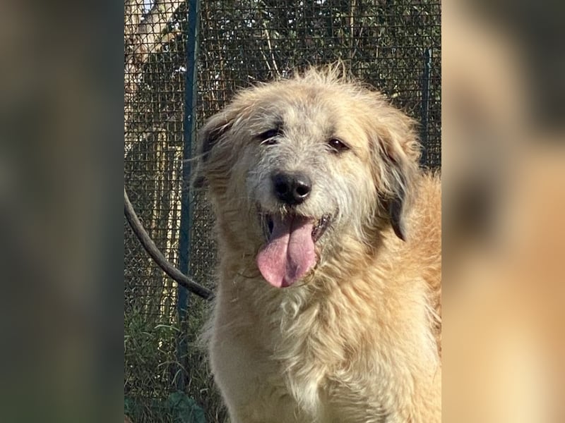 Eva - Die Zeiten ändern sich