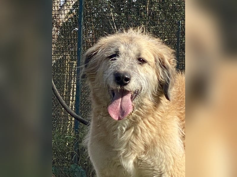 Eva - Voller Tatendrang in eine gute Zukunft